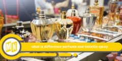 what is difference perfume and toilette spray