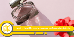 what is the difference between de parfum and de toilette: Learn now the difference