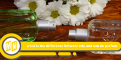 what is the difference between edp and eau de parfum