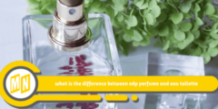 what is the difference between edp perfume and eau toilette