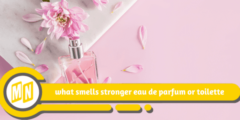 what smells stronger eau de parfum or toilette